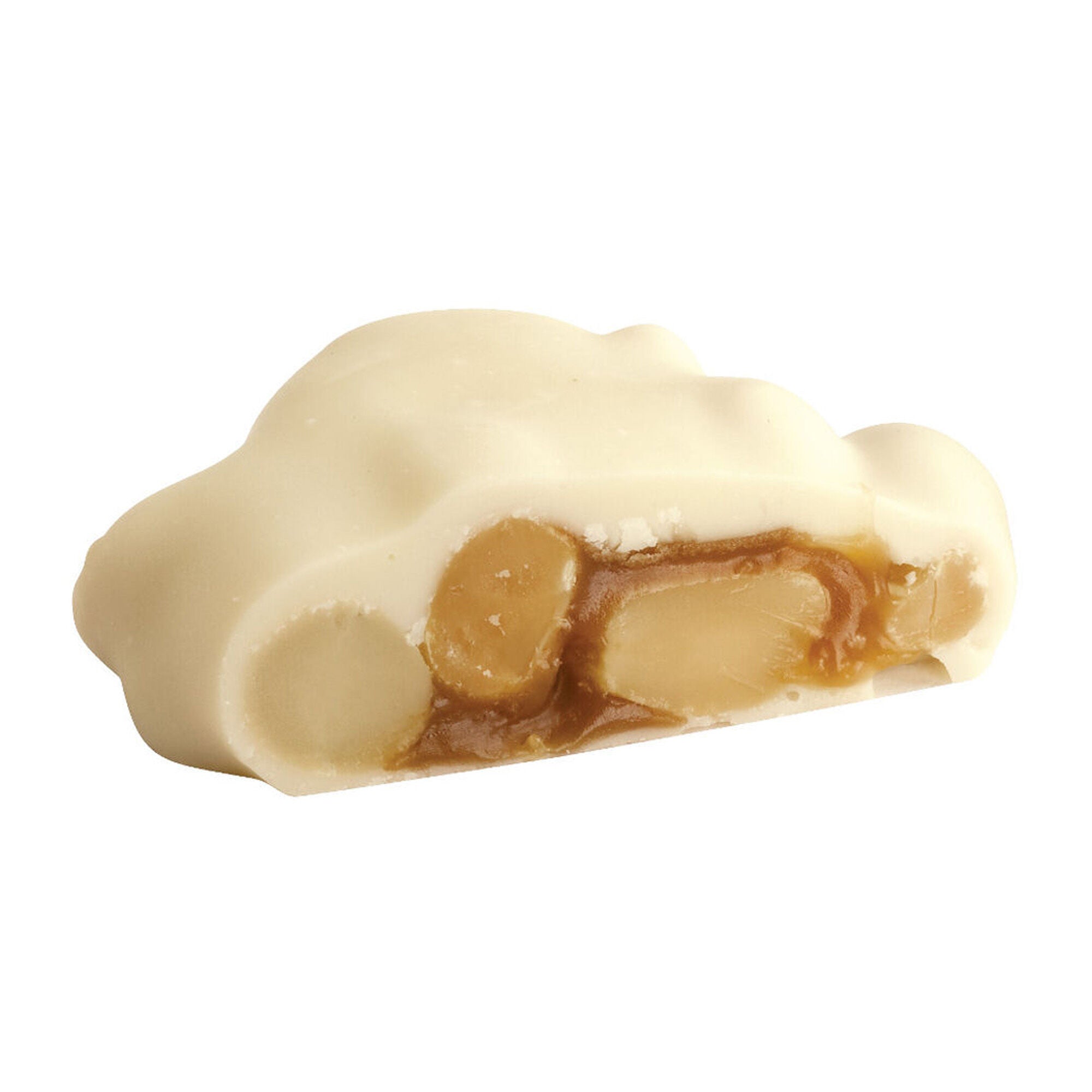 Polar Bear Paw®